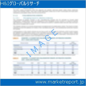 市場と産業調査レポートのイメージ